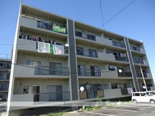 東雲マンション【C240号室】の外観