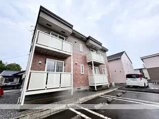 パープル桔梗の画像