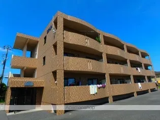 レイ プルメリアの画像