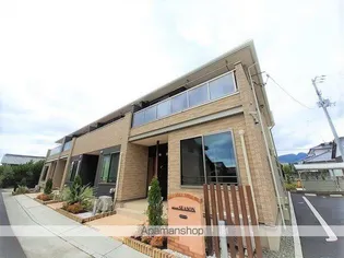 エレガントシーズンの画像