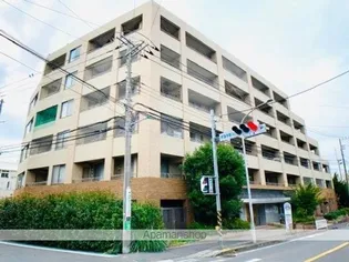 ヒルクレスト妙蓮寺【4階】の外観