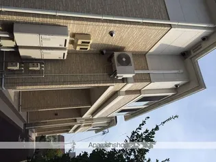 フォレスト鹿妻の画像