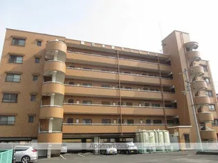 第5水野マンション【6階】の外観