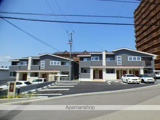 プラシードカーサVの画像