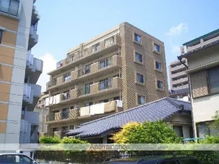 ルシオール藤崎の画像