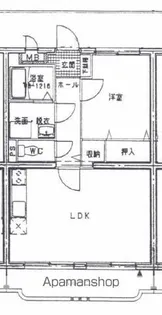 セルリア大橋【1階】の間取り