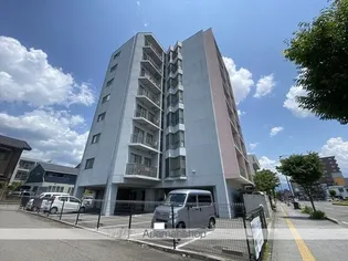 ブリランテサクラの画像