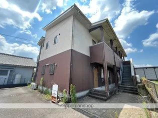 ダンデリオンの画像