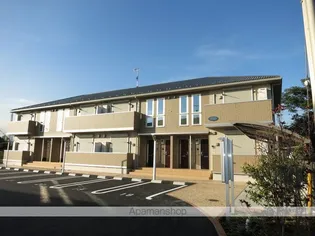 コリーヌ Aの画像