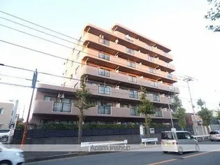 フォレストの画像