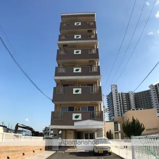 AMBELLIRの画像