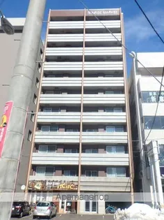 サエラの画像