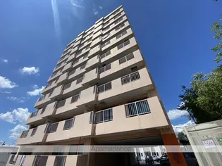 ヴェルドミール西桔梗の画像