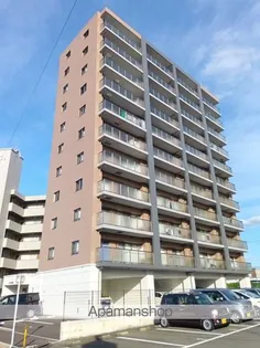 ショウジュン原田の画像