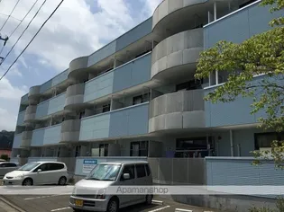 NORTH CITY50の画像