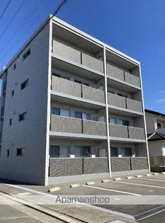 サンプランタンの画像