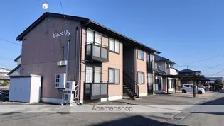 どんぐりの画像