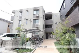 ルピナスVIIの画像