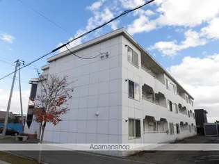 コンフォートピュアの画像