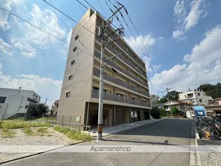 かわせみの画像