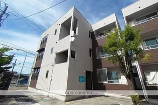 COMMON早苗の画像