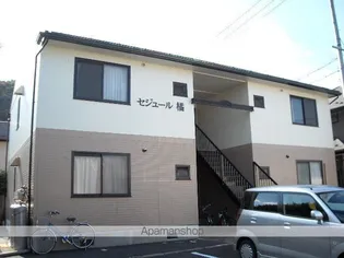 セジュール橘の画像