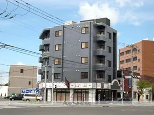 シティ根元の画像