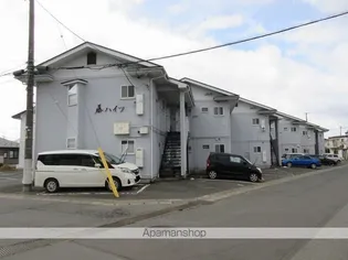 藤ハイツ【203号室】の外観