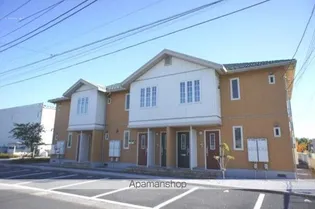 ステラリオーネの画像