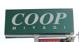 チェリーヒルズ【202号室】の周辺