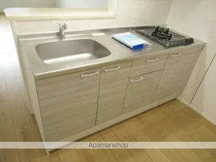 MAISON KUDOH A棟【201号室】のキッチン