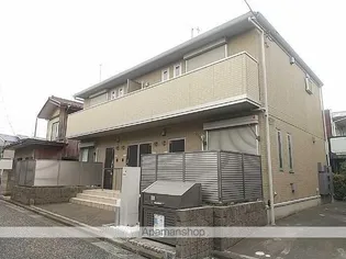 ステラ ルーチェの画像