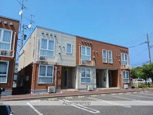 プルメリアIの画像