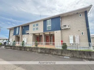 いろどりの画像