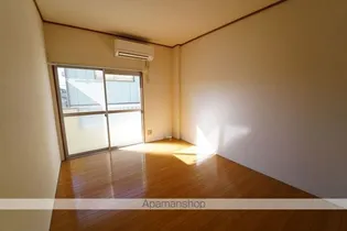 ヴィラ・ドゥマン【201号室】の内装