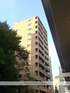 ソリッド大橋の画像