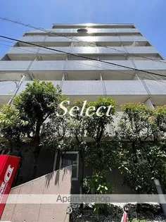 ステラコート横浜白楽【2階】の外観