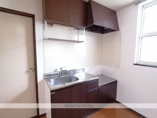 田中ハイツB【201号室】のキッチン