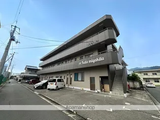 リカータミヤキタの画像