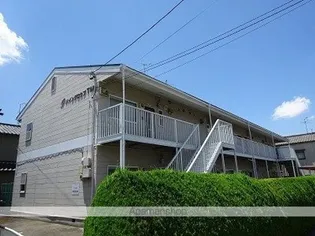 パイングロウブTMの画像