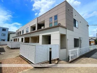 アン ドゥラードの画像