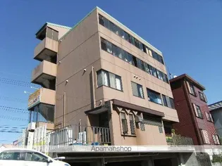 フォークビルアンドウの画像