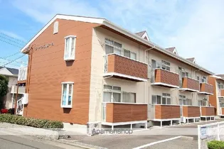 シャルムMの画像