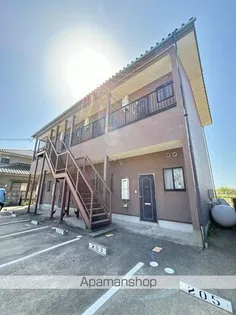 ハイツアーバニーの画像