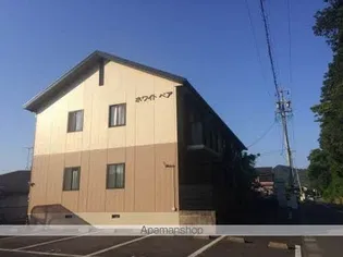 ホワイトベアの画像