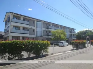 ハイツルピナスの画像