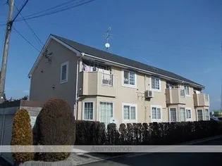 シャルマン 横田Aの画像