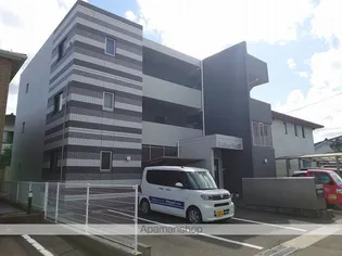 FELICE BELLの画像