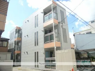 アムール青柳の画像