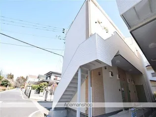 ルピナスの画像